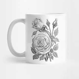 Rose Flowers Vintage Illustration Mug